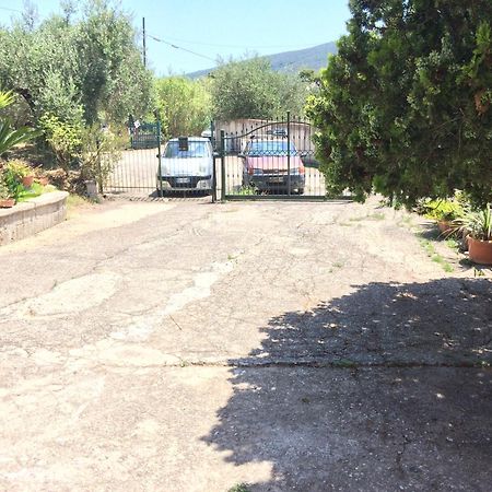 Casa Vacanze La Tuia Castellabate Εξωτερικό φωτογραφία