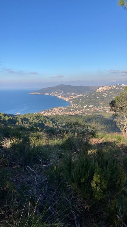 Casa Vacanze La Tuia Castellabate Εξωτερικό φωτογραφία